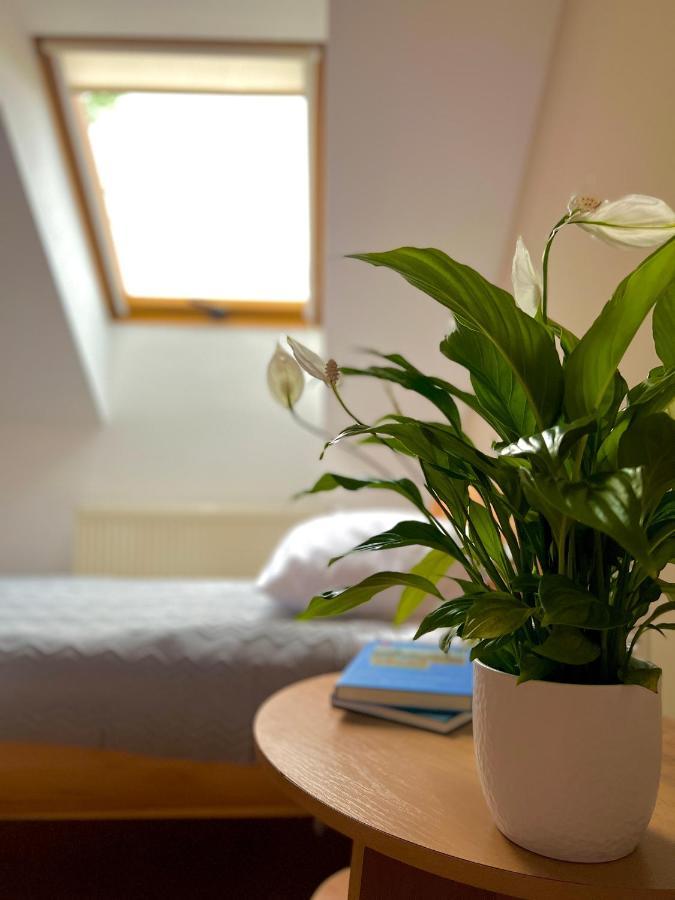 Hotel Marislav Cesnovice 外观 照片