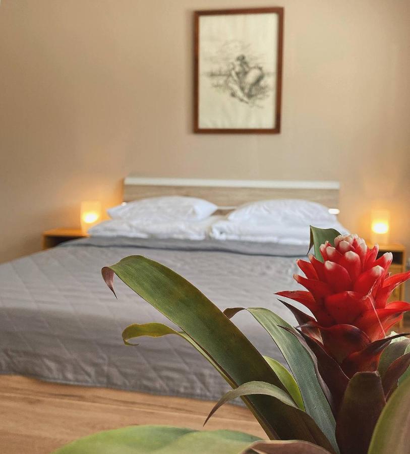 Hotel Marislav Cesnovice 外观 照片